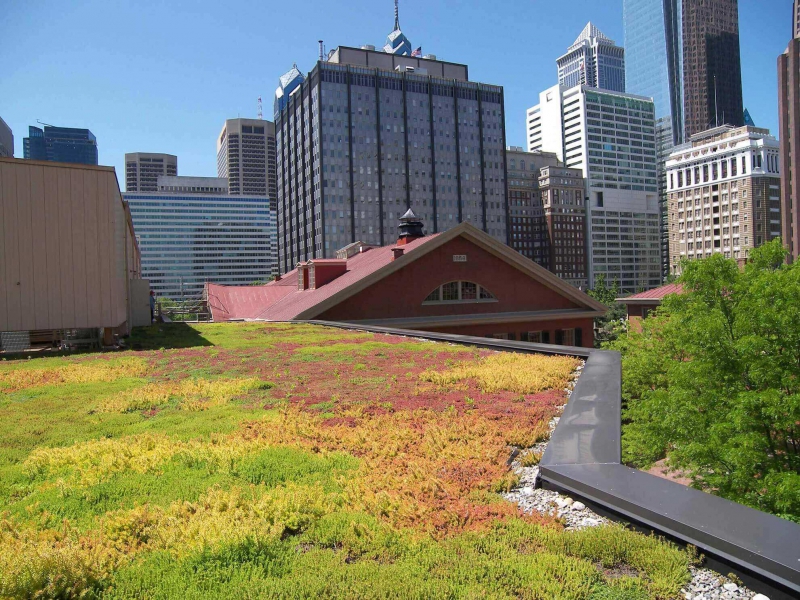 paysagiste-LA ROQUE ESCLAPON-min_green-roof-portfolio-4